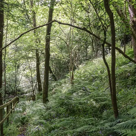 Lands Brow * Red Dial